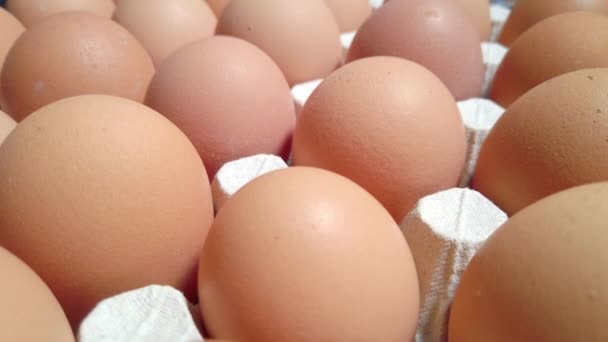 Telur Ayam Dalam Kotak Kardus Telur Mentah Segar Dalam Wadah — Stok Video