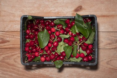 İş konsepti için siyah plastik kutuda kiraz.