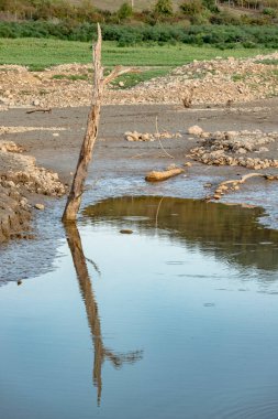 Barajda kuru bir ağaç var. Ağaçlar setin içine taşmış.