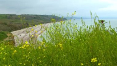 Punta Aderci, Abruzzo, Vasto 'da bulutlu bir günde rezerv yaptırdı. Yüksek kalite 4k görüntü