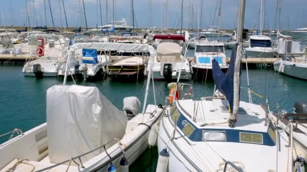 Agropoli Campania Italy May 2023 White Fishing Cruise Boats Moored — Stock Video