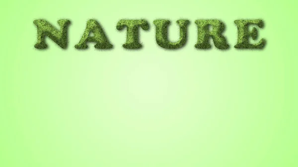 Naturaleza Escrita Sobre Fondo Verde Texto Naturaleza — Foto de Stock