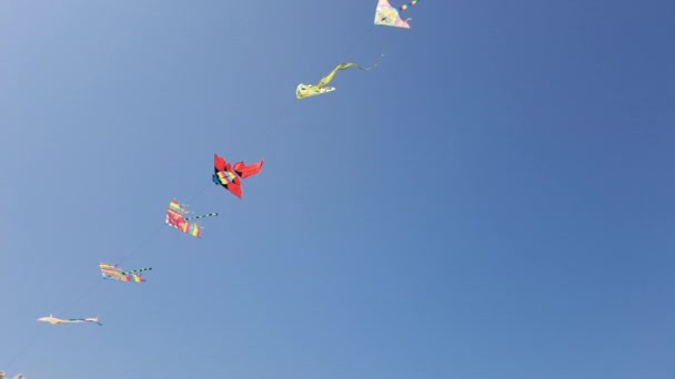 Ugento Itálie Července 2023 Kites Air Tied String Flutter Wind — Stock video