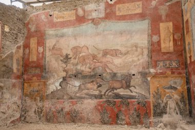 Pompei, İtalya-27 Nisan 2024: Pompeiis Sanatsal Hazineleri: Casa dei Ceii 'nin Freskleri.