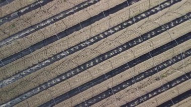 Ritim metal iskeleti ile geometrik seraların büyüleyici hava görüntüsü. Yüksek kalite 4k görüntü