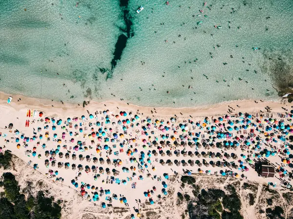 Renkli şemsiyeli kumlu sahil manzarası, tanınmayan insanlar, yazın güneşli bir günde şeffaf mavi suyu olan deniz kıyıları. Mallorca 'da seyahat, Balear adaları, İspanya. Üst Manzara. Tropik