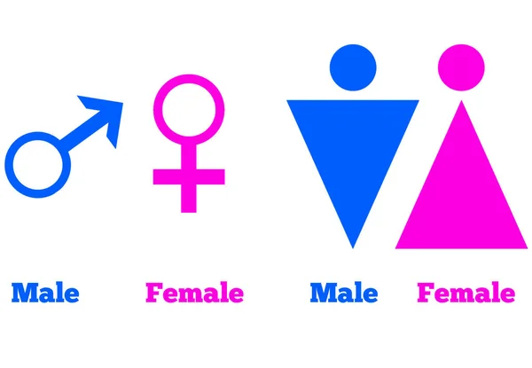 Maschio Femminile Orientamento Sessuale Icona Simbolo Forma Segno Logo Sito — Foto Stock