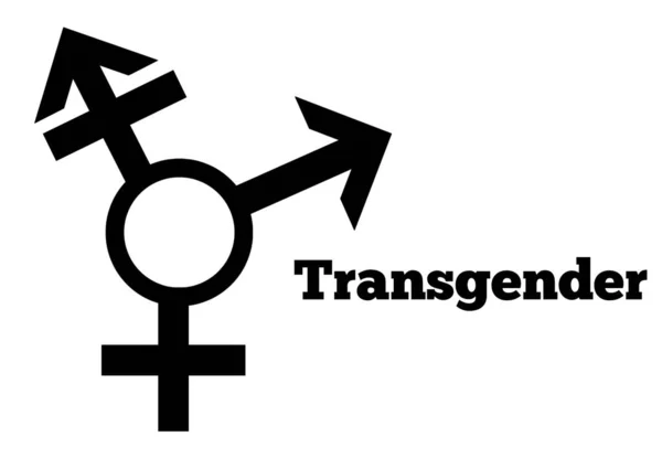 Transgender Sexuální Orientace Ikona Symbol Silueta Styl Tvar Nápis Logo — Stock fotografie