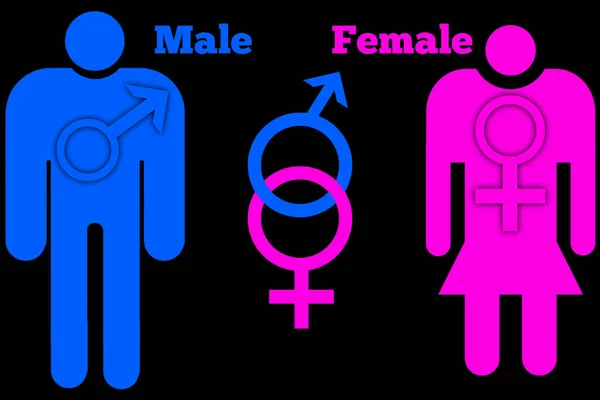 Male Female Sexual Orientation Icon Symbol Shape Sign Logo Sitio —  Fotos de Stock