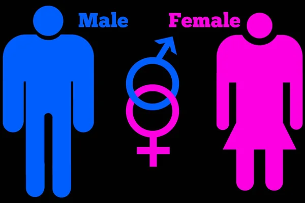 Masculino Feminino Orientação Sexual Ícone Símbolo Forma Sinal Logotipo Site — Fotografia de Stock