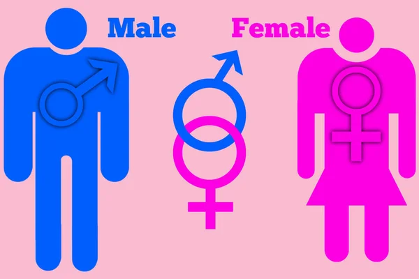 Eine Männliche Weibliche Sexuelle Orientierung Ikone Symbol Form Zeichen Logo — Stockfoto