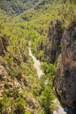 İspanya, Valencia 'daki Turia Nehri' nin manzarası.