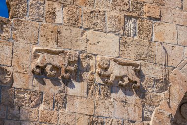 Aslan Kapısı, Eski Kudüs 'ün yedi girişinden biridir. Adını duvara kazınmış aslanlardan almıştır.. 