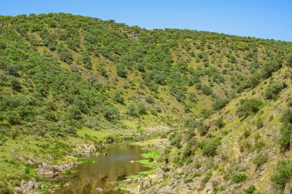 Durgunluk ve ahenk, güneşin sakin tepelere dokunduğu, sakin bir yaz akşamının sükunetini yansıttığı yemyeşil Salor Vadisi 'nde akıyor.