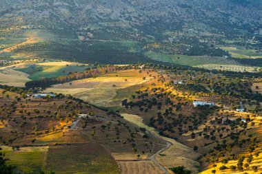 Güneş ışığı, altın saat boyunca Fas 'ın kuzey eteklerindeki teraslı tarlalarda, zeytinliklerde ve dağınık çiftlik evlerinde otlar.