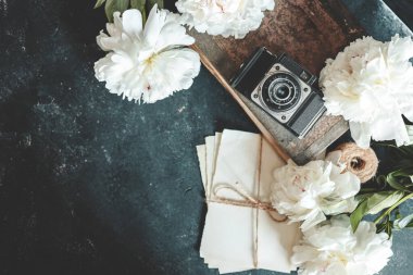 Yaz arkaplanı, düz konum düzeni, şakayıklar ve retro kamera.