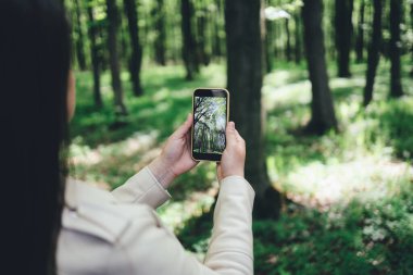 The girl photographs the forest. Beautiful photo on the phone.