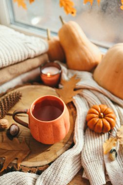 Balkabağı şeklinde bir fincan çay ve pencere kenarında sonbahar dekoru, estetik fotoğraf.
