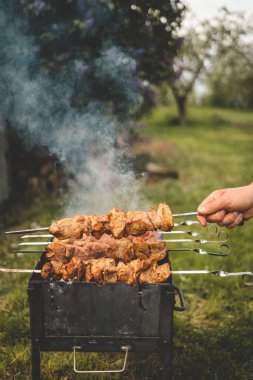 Adam gün içinde arka bahçede ızgara ızgara domuz eti yapıyor. Aile yemeği açık hava tarzı bbq etkinliği.