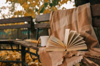 Mum ve açık kitap doğada, sonbahar konsepti.