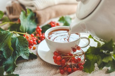 Sonbahar kompozisyonunda Viburnum ile bir fincan çay..