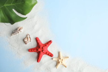 Deniz kabukları, deniz yıldızı ve mercanlar mavi arka planda, üst manzara, kopyalama alanı. Yaz tatili ya da tatil konsepti.