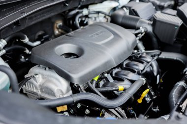 Kaputu aç, arkaplanı kapat.