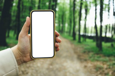 Phone with an isolated screen in a hand on a background of a forest, a place for your text.