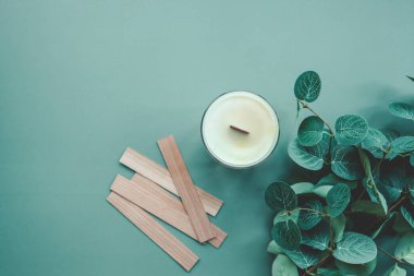 Soya mumu, ahşap filizler ve okaliptüs, düz bir manzara..