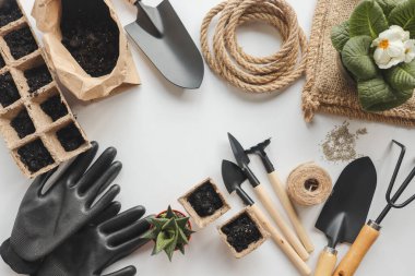 Beyaz arkaplanda bir bahçe aracı seti.