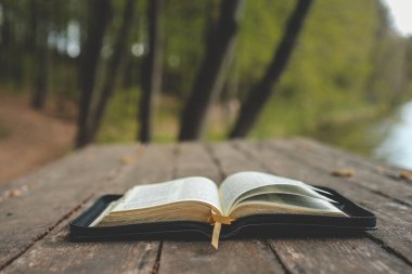 Open Bible on a wooden board near the river.