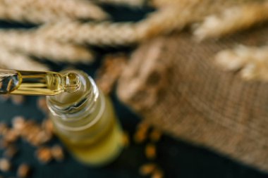 Bir şişe vücut yağı ve bir damlatıcı. Masadaki temel buğday yağının kavramsal bileşimi. Cilt ve saç bakımı için buğday serumu yağı. Kişisel bakım, kaplıca ve sağlık..