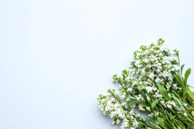 Beyaz çiçeklerin güzel bahar arkaplanı. Düz yatış, üst görünüm.