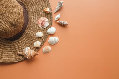 Renkli arka planda güzel hasır şapka ve deniz kabukları, üst manzara.
