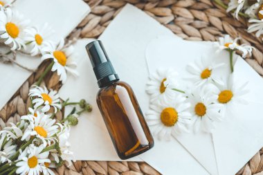 Papatya çiçekleri ve beyaz arka plan üzerinde uçucu yağ kozmetik şişe ile Kompozisyon, üst görünümü.