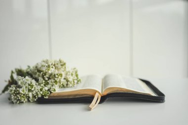 Beyaz arkaplanda çiçekli İncil 'i aç.
