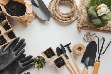 Beyaz arkaplanda bir bahçe aracı seti.