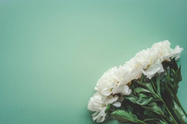 Yeşil arkaplan üzerinde güzel beyaz şakayık çiçekleri metin üstü görünümün ve düz yatış tarzın için kopya alanı ile.