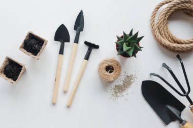 Beyaz arkaplanda bir bahçe aracı seti.