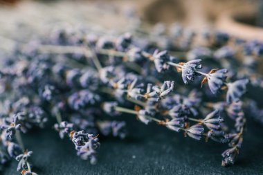 Lavanta çiçek eski ahşap masa grup.