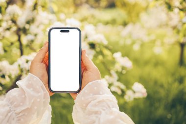 Gün batımında çiçek açan ağaçları fotoğraflayan kız, izole ekran telefonu..