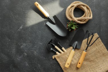 metin üstten görünüm için alan koyu ahşap zemin üzerine Bahçe aletleri
