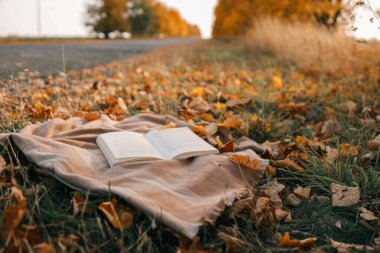 Sonbahar ormanında bir battaniyenin üzerinde açık bir kitap.