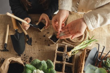 Anne ve çocuk tohum ekiyor, bahar ve bahçe işleri..