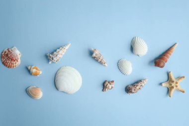 Deniz kabukları, deniz yıldızı ve mercanlar mavi arka planda, üst manzara, kopyalama alanı. Yaz tatili ya da tatil konsepti.