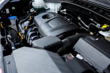 Kaputu aç, arkaplanı kapat.