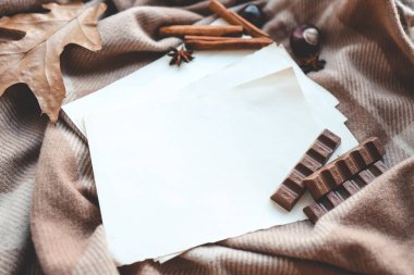 Metinleriniz için sonbahar dekorunda yer alan el işi kağıdı.