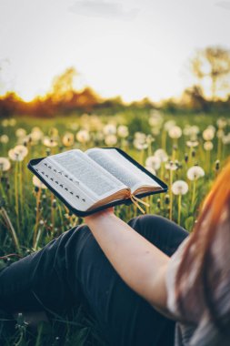 Hristiyan kadın İncil 'i elinde tutuyor. Güzel günbatımında bir tarlada İncil okumak. İnanç, maneviyat ve din kavramı. Barış, umut.