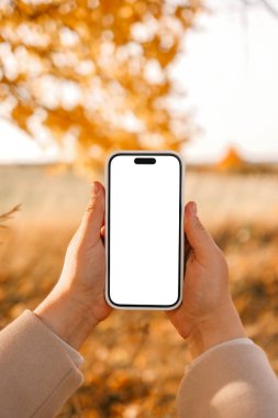 Bir sonbahar yolunun arka planında izole bir ekran bulunan telefon ellerde.