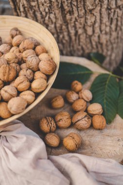 Walnuts closeup background, harvest concept.